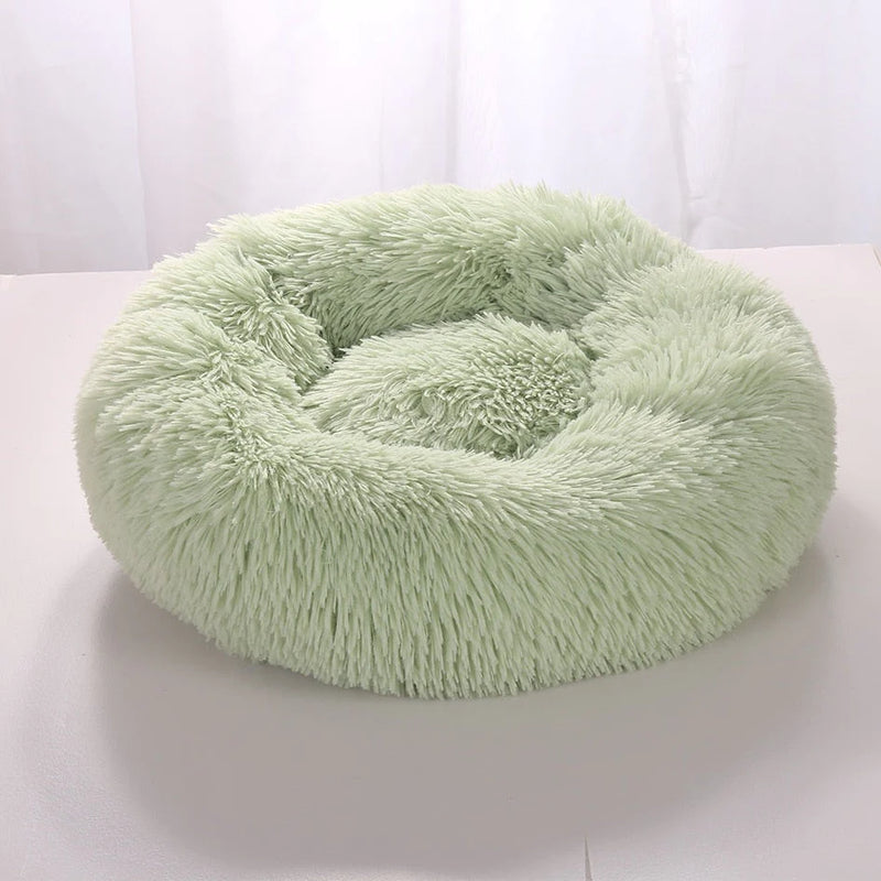 Cama Para Pet - PetDream