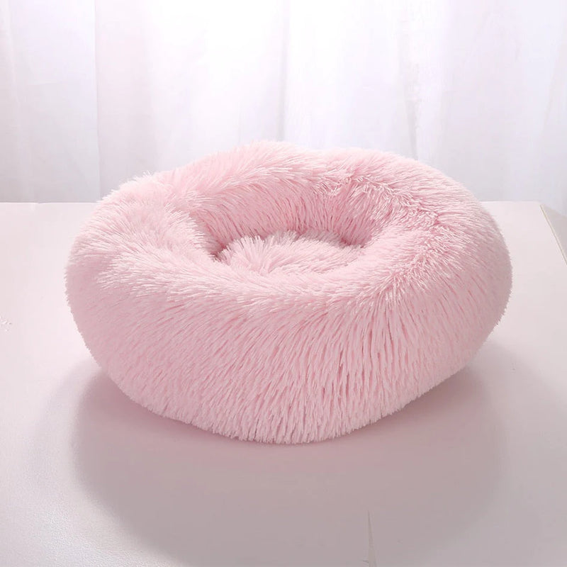 Cama Para Pet - PetDream