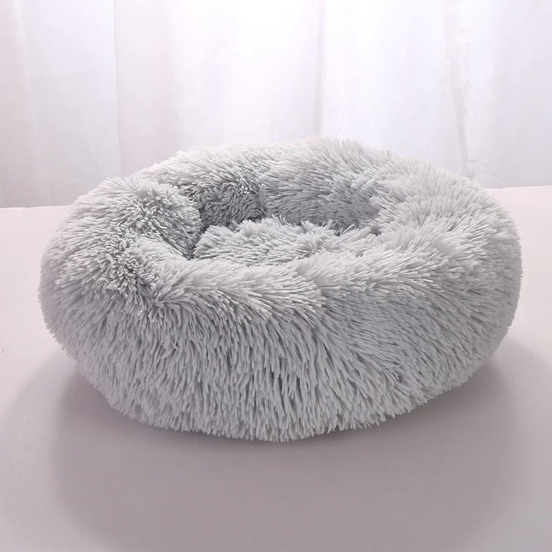 Cama Para Pet - PetDream