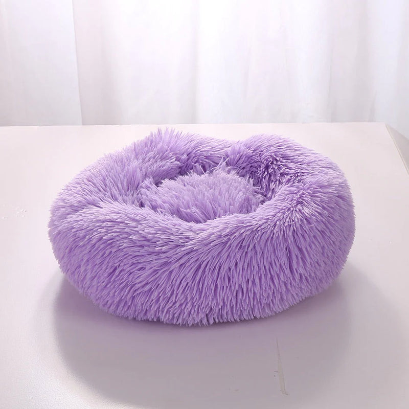 Cama Para Pet - PetDream