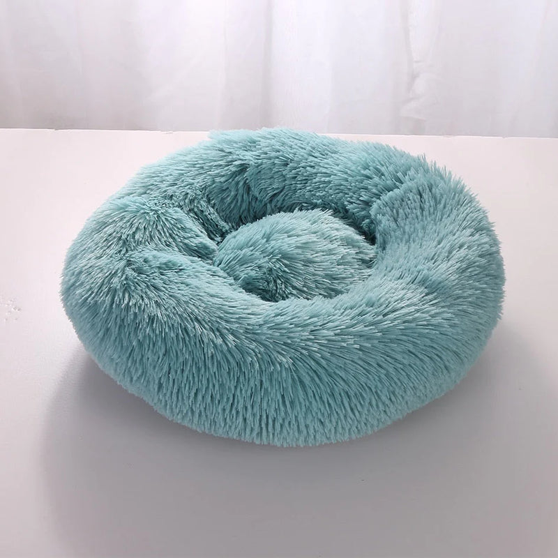 Cama Para Pet - PetDream