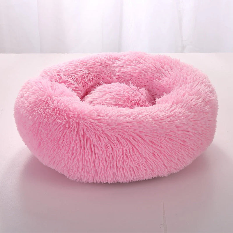 Cama Para Pet - PetDream