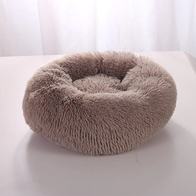 Cama Para Pet - PetDream