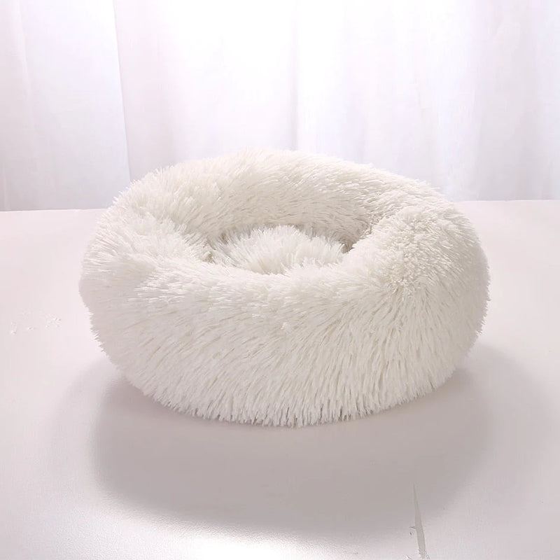 Cama Para Pet - PetDream