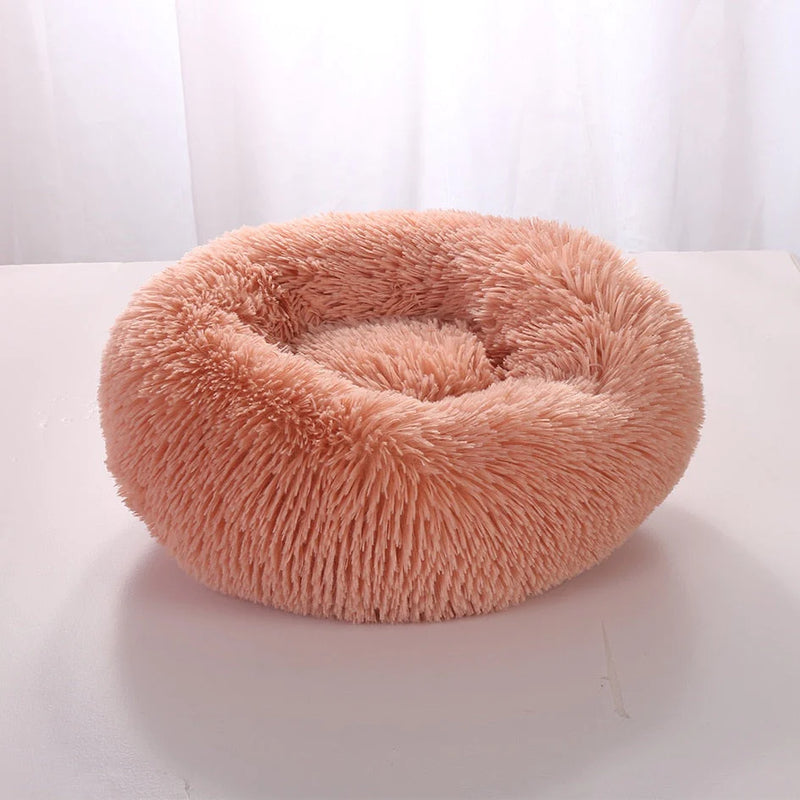 Cama Para Pet - PetDream