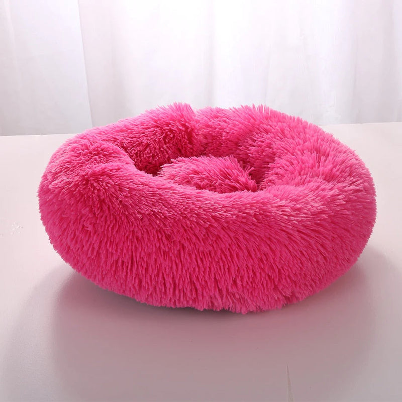 Cama Para Pet - PetDream