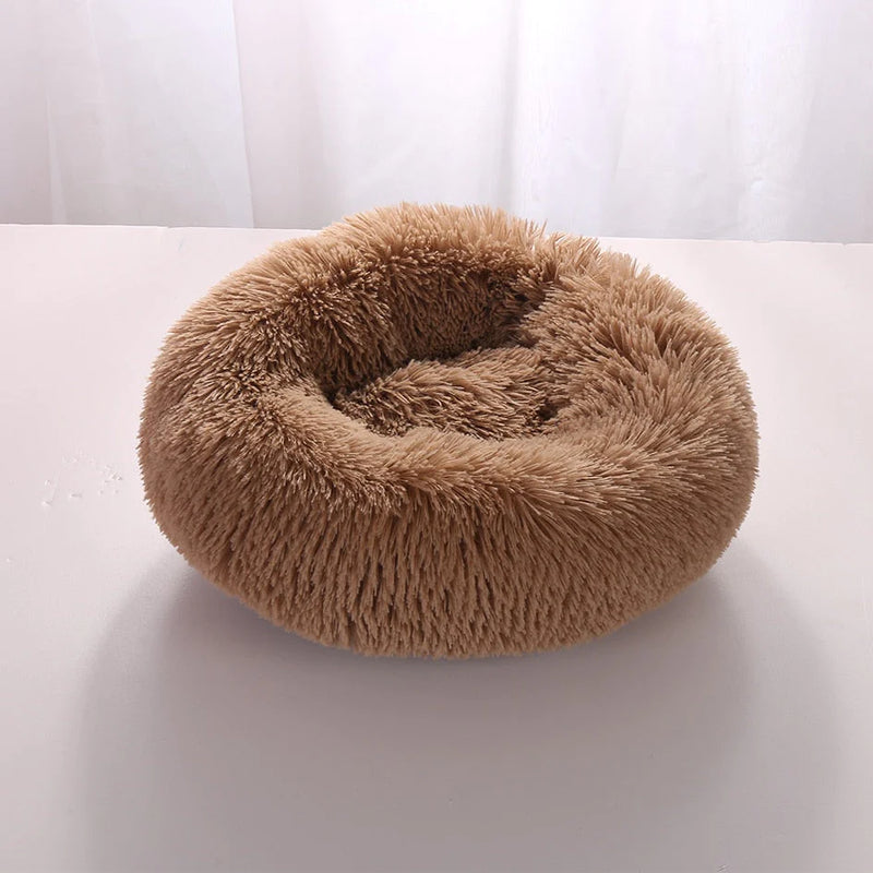 Cama Para Pet - PetDream