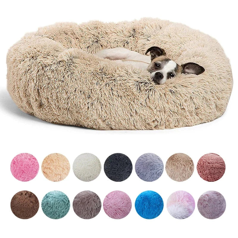 Cama Para Pet - PetDream