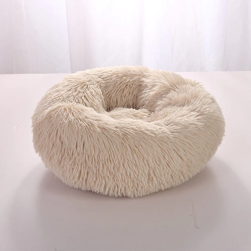 Cama Para Pet - PetDream