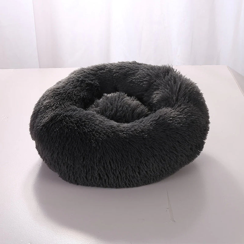 Cama Para Pet - PetDream